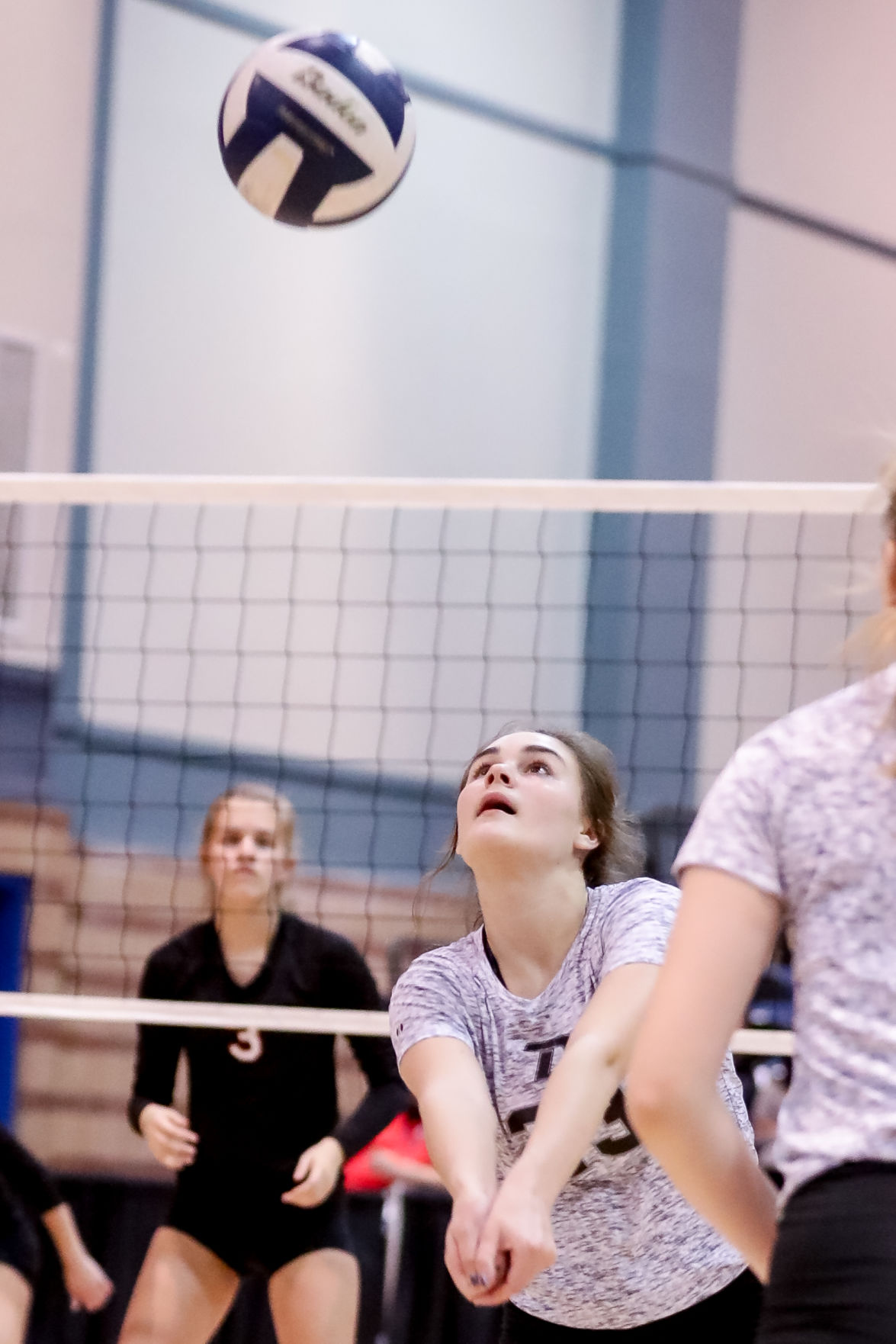 no.volleyballDIquarters226.111118